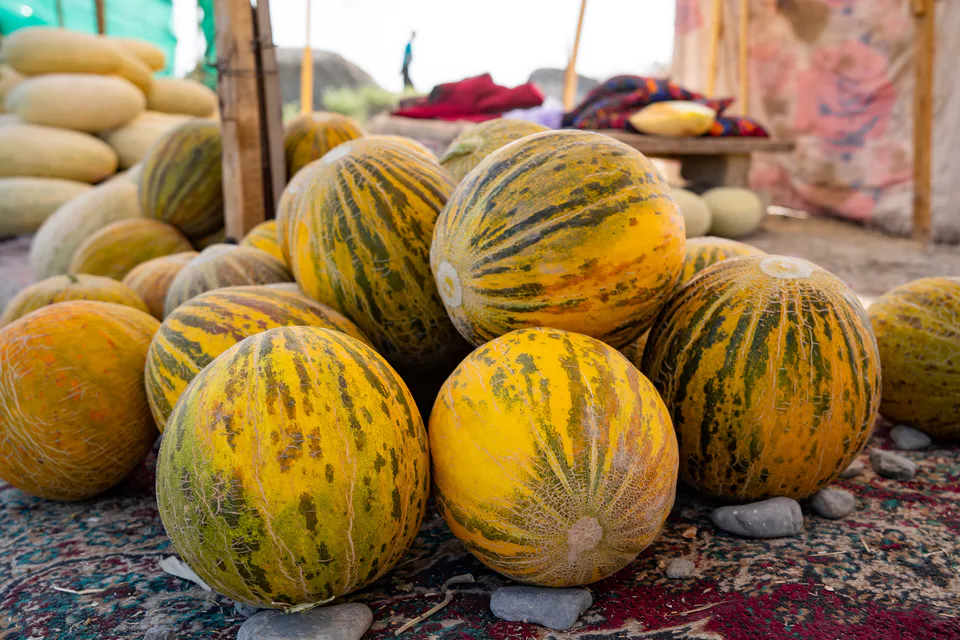 Oʻzbek qovunlari