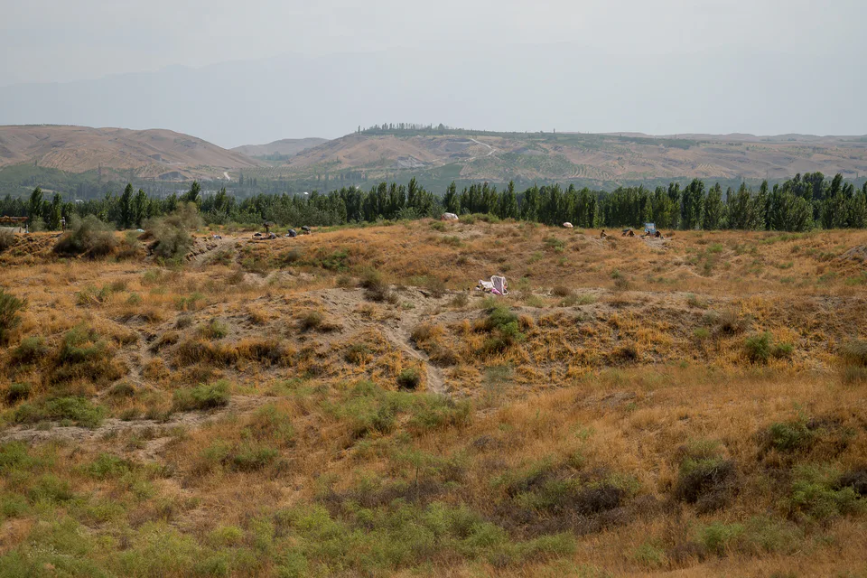 Oltiariq tumani