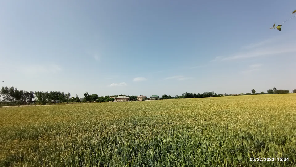 Narpay tumani