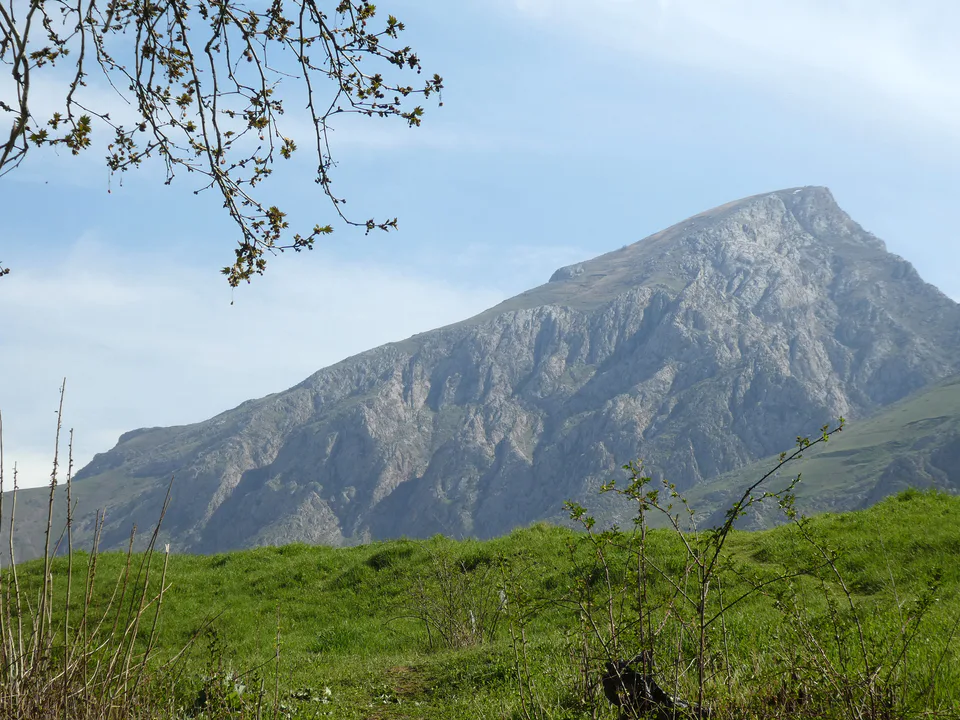 Urgut tumani