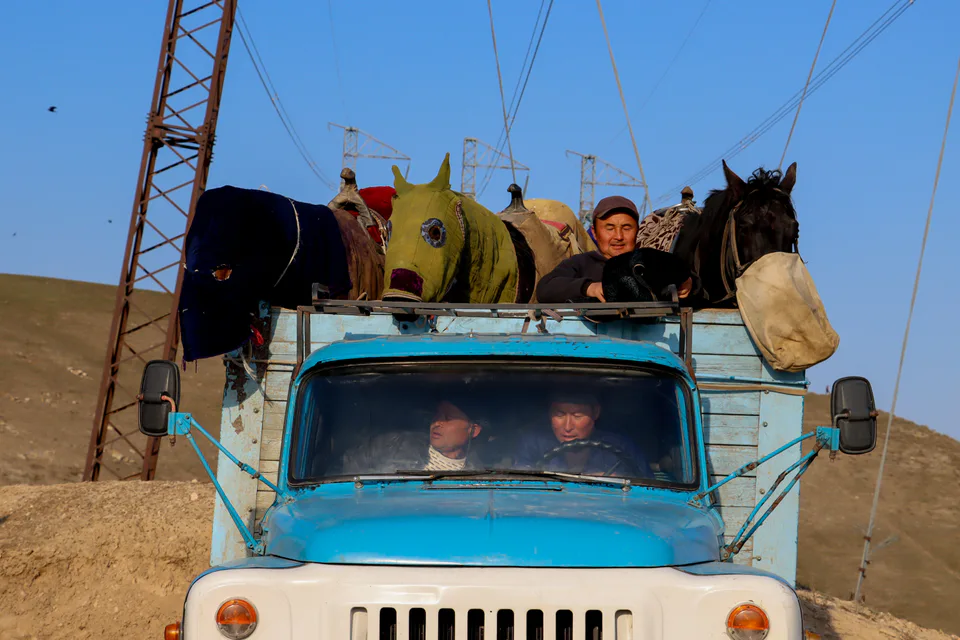 Horses belonging to riders who have transported long distances for the Ko'pkari competition are being brought to the arena