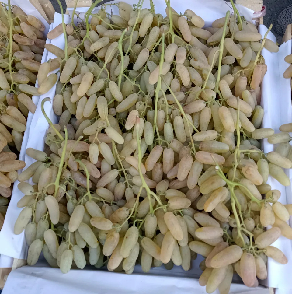 Uzumchilik