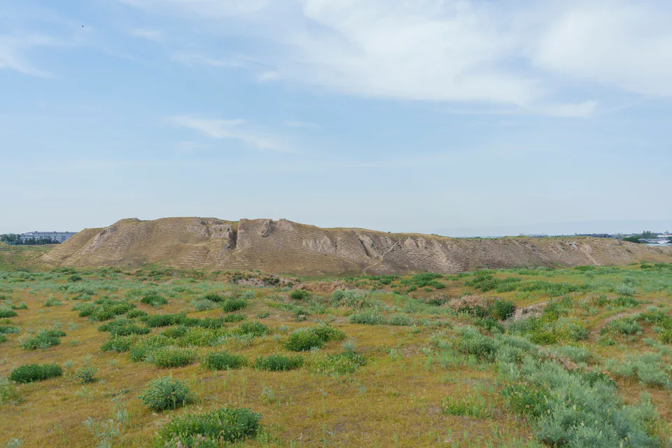 Flocks of sheep grazing among the ruins of the ancient city of Afrasiab in Samarkand, Uzbekistan, May 2026. Once a major urban center of ancient Sogdiana and an important settlement along the Silk Roa