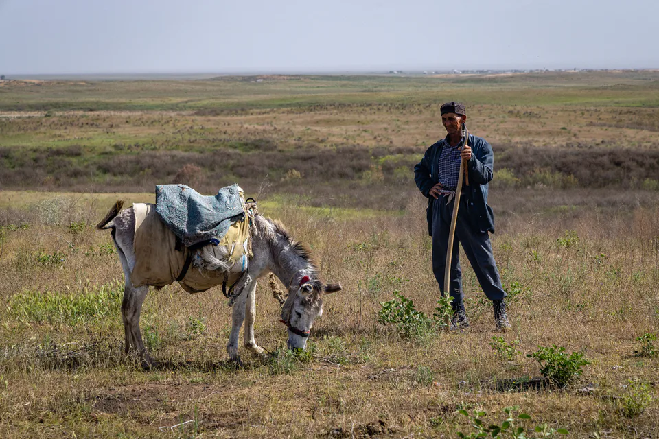 Local man and his donkey near the Aidarkul Lake. Arnasai sanctuary, Jizzakh Region, Uzbekistan.
