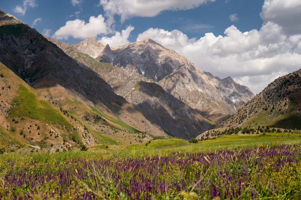 Maydantal Plateau in Ugom Chatkal National Park, Uzbekistan.