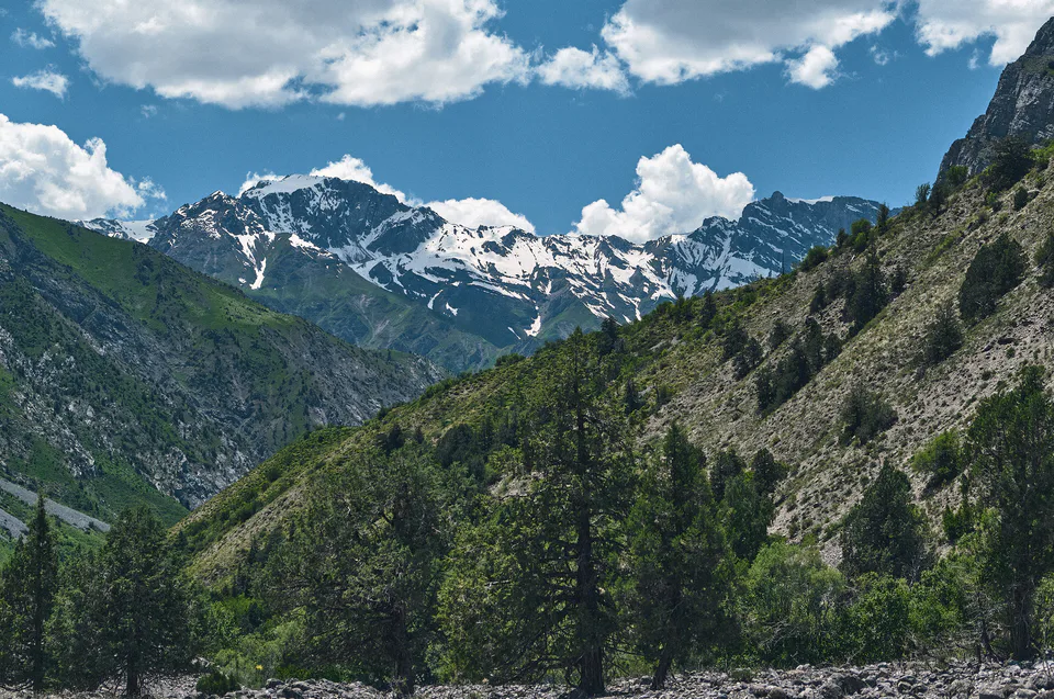Maydantal Plateau in Ugom Chatkal National Park, Uzbekistan.