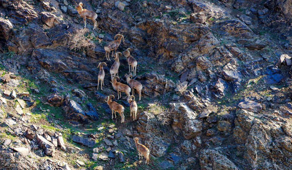 Nuratin State Nature Reserve: Jizzakh Region, Forish District
