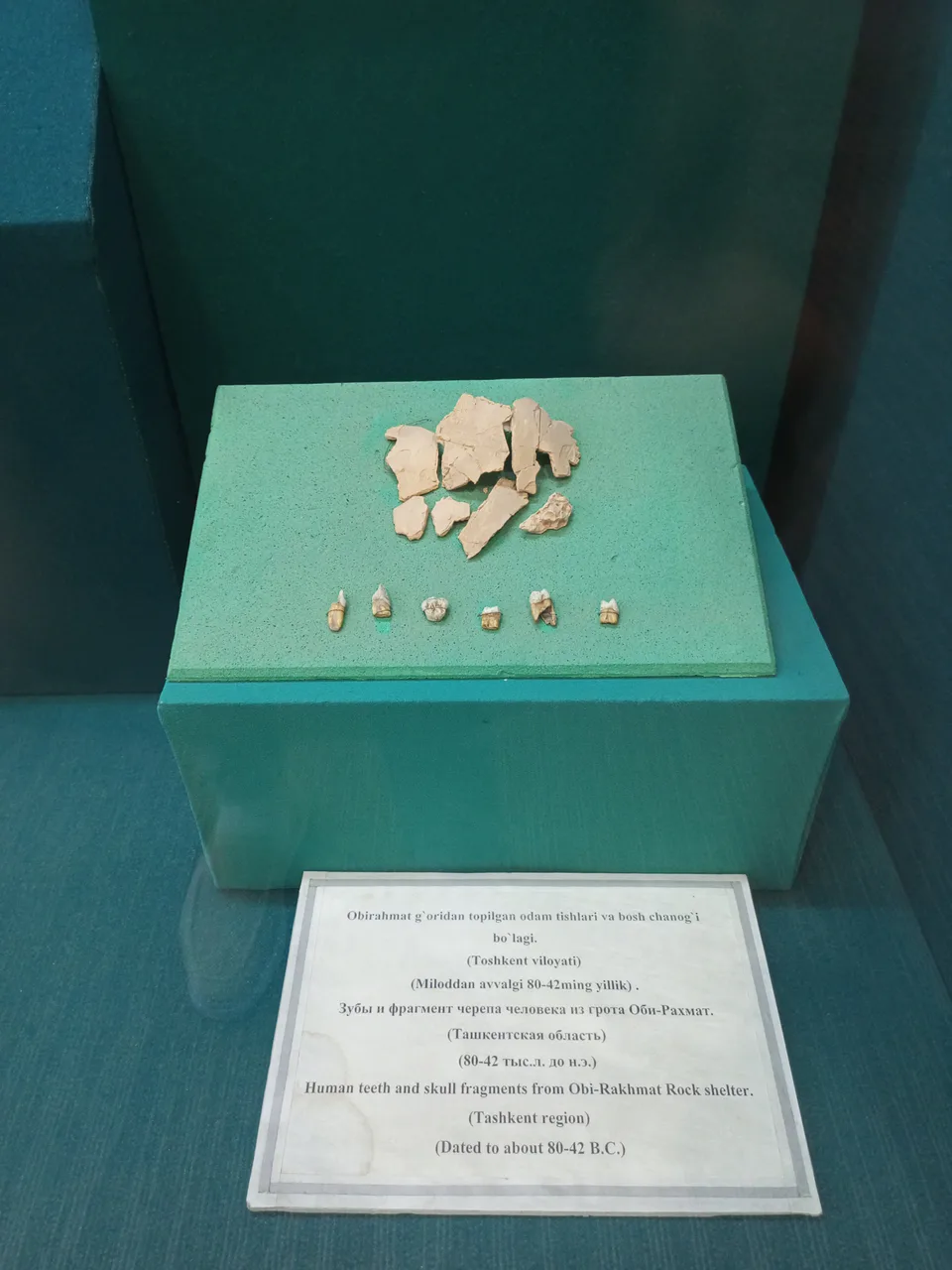 Human teeth and skull fragment found in Abirakhmat cave. (Tashkent Region) (80-42 thousand years BC)