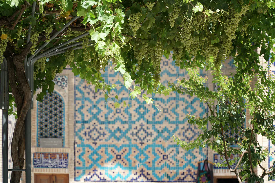 Sherdor madrasah courtyard with grapevine