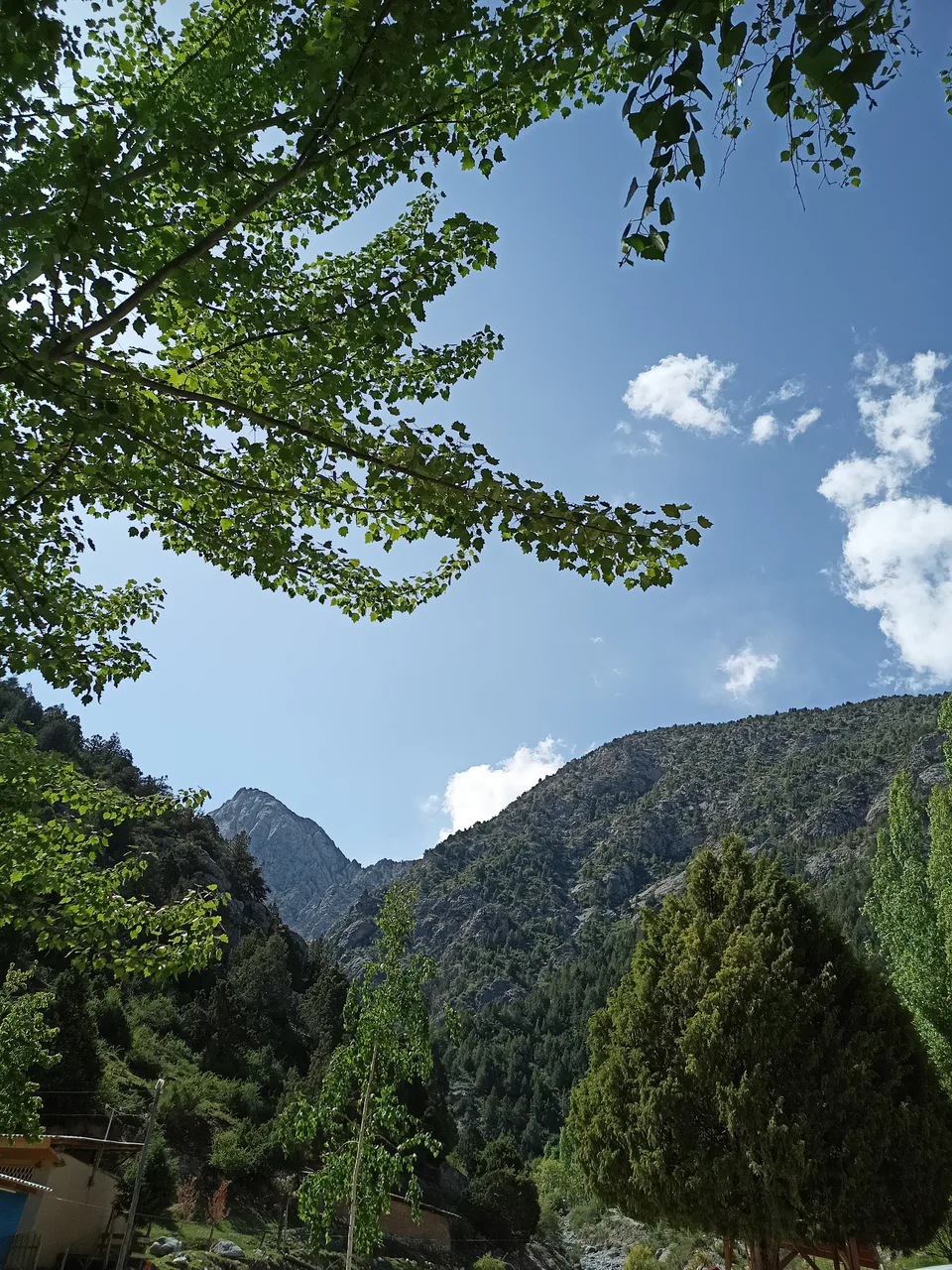 Shakhimardan mountains