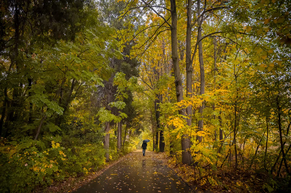 Tashkent botanical garden, Tashkent, Uzbekistan