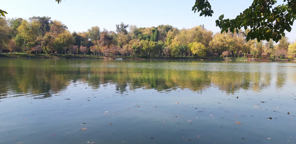 Tranquil autumn reflections at the Japanese Garden in Tashkent, a peaceful escape within the bustling city.