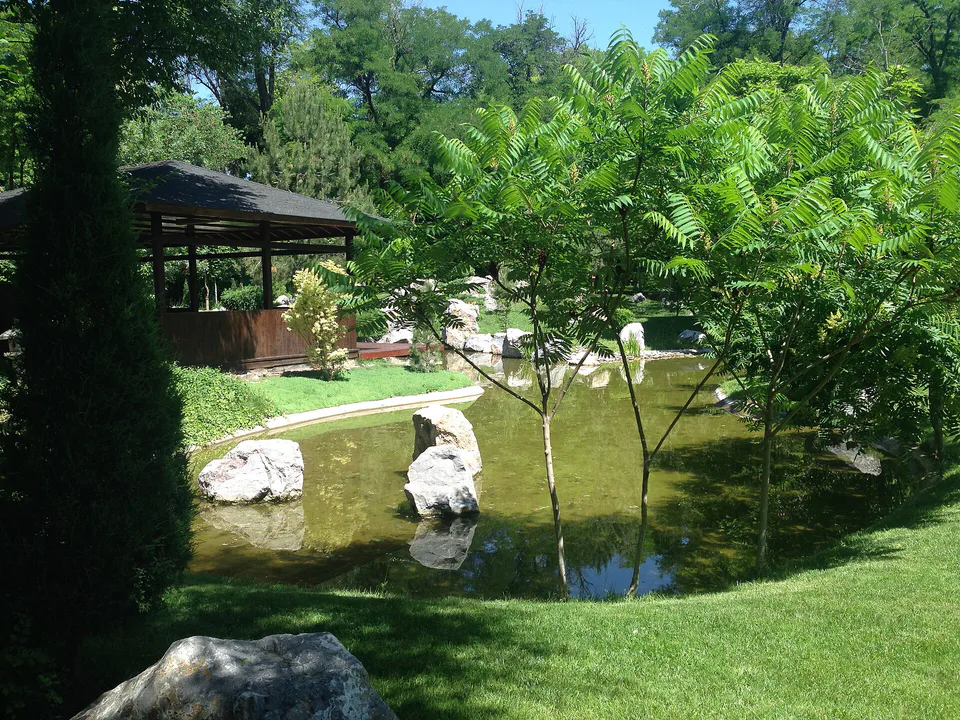 Japanese garden Tashknet