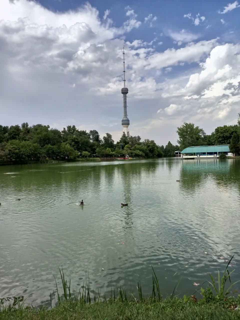 Yapon bog‘i poytaxtning eng koʻrkam, shinam, obod va go‘zal burchaklaridan biri bo‘lib, u tabiat qo‘ynida dam olish, oila yoki do‘stlar bilan kichik piknik tashkil qilish uchun emg ideal joydir. Bunda