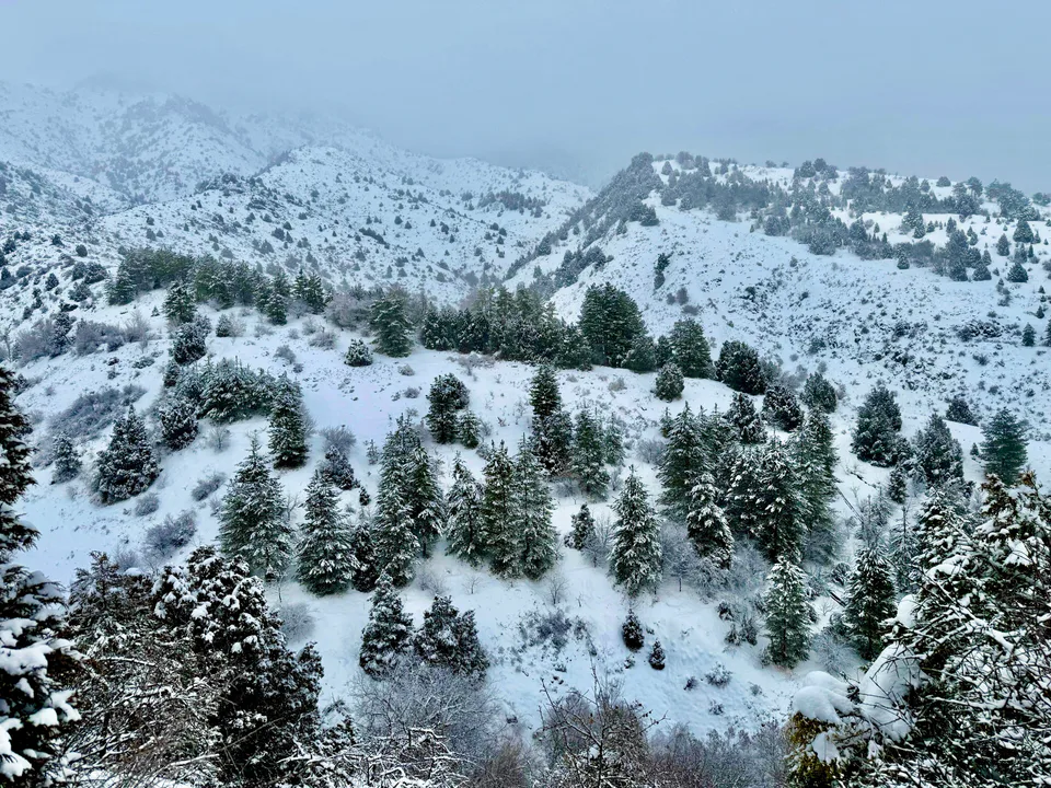 Ugam-Chatkal State Biosphere Reserve: Tashkent region