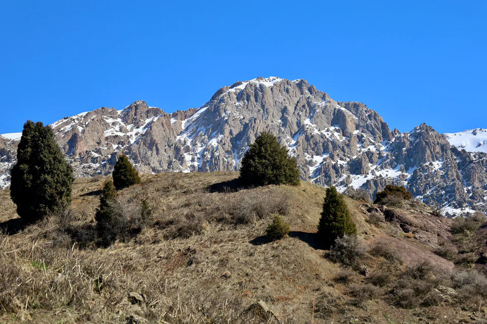 View of Aktash Peak in late February. Ugam-Chatkal State Biosphere Reserve: Tashkent Region