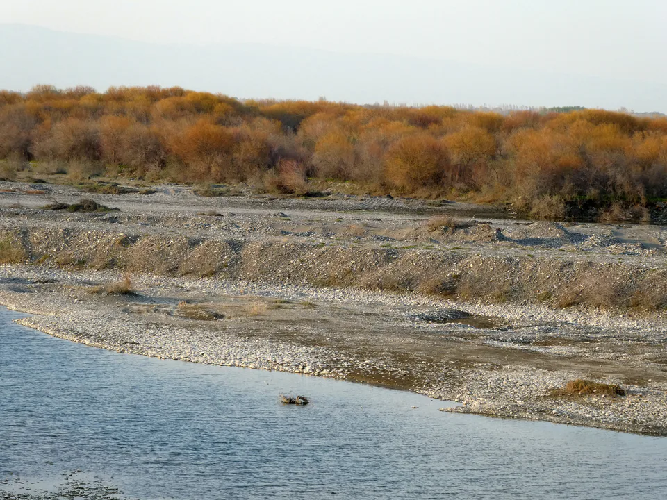 Zarafshan river lair near To'q'ay village. Zerafshan sanctuary, Toyloq District, Samarkand Region, Uzbekistan