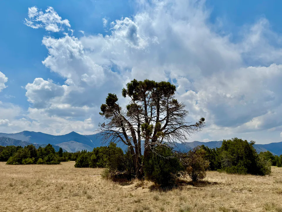 Zaamin National Park: Jizzakh Region, Zaamin District