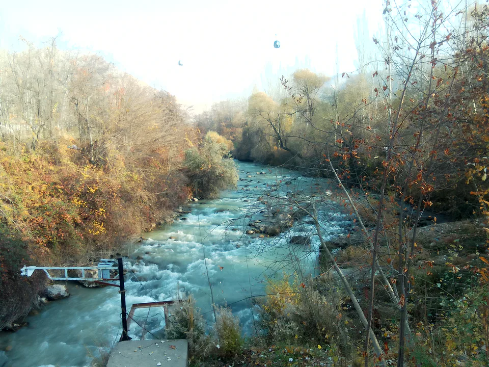 Miraki image