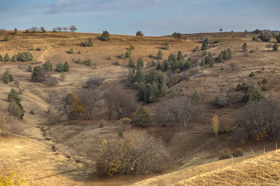 Amankutan national park. Urgut District, Samarkand Region, Uzbekistan.