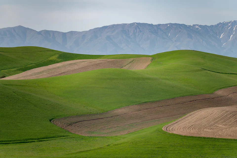 Galvasai hills. Ugom-Chatkal biosphere reserve, Tashkent Region, Uzbekistan.